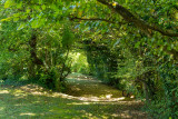 parc - © Hôtel des trois Massifs parc