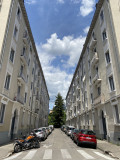 c-elisabeth_g-flaubert_1.jpg