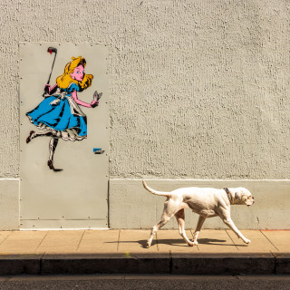 Le Street art engagé_Grenoble