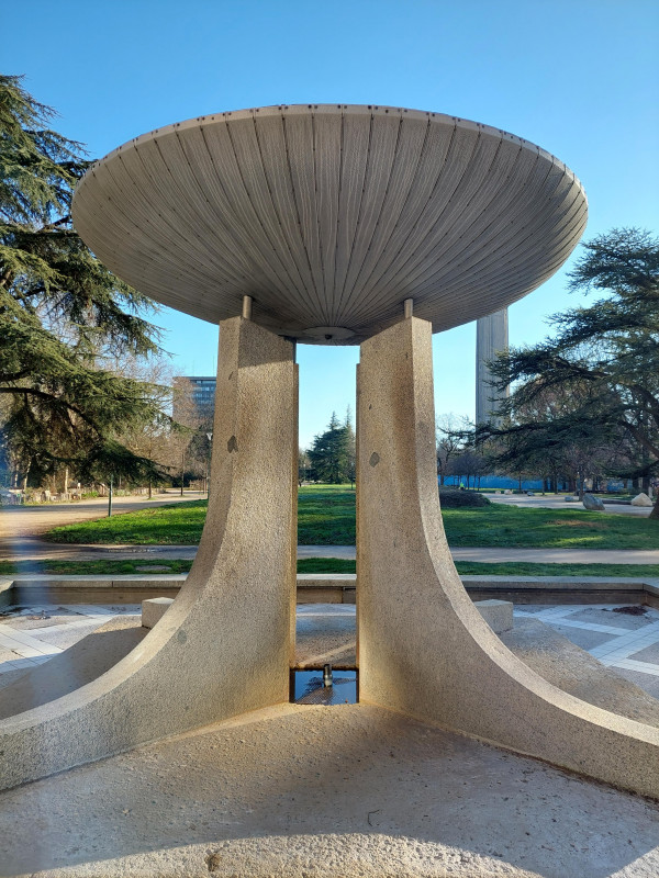 20240307_084338.jpg