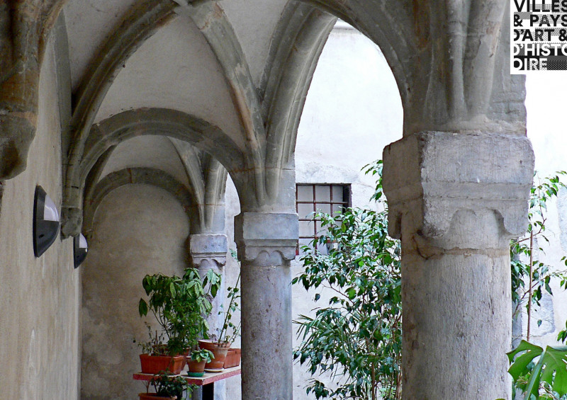 5900806.jpg - © OTG 5900806.jpg