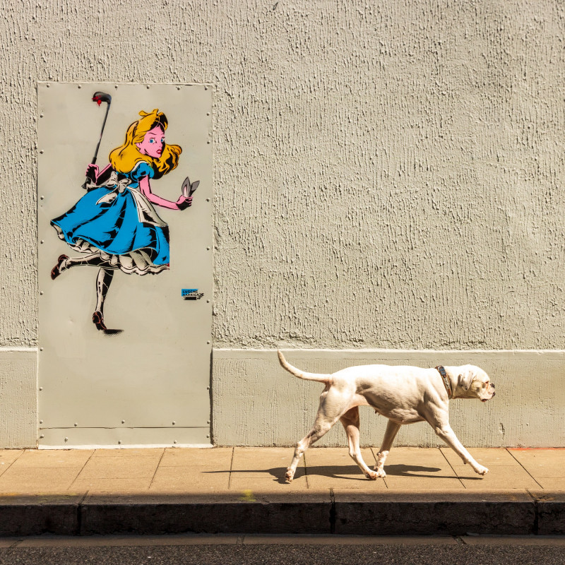 Le Street art engagé_Grenoble - © Tristan Shu Le Street art engagé_Grenoble