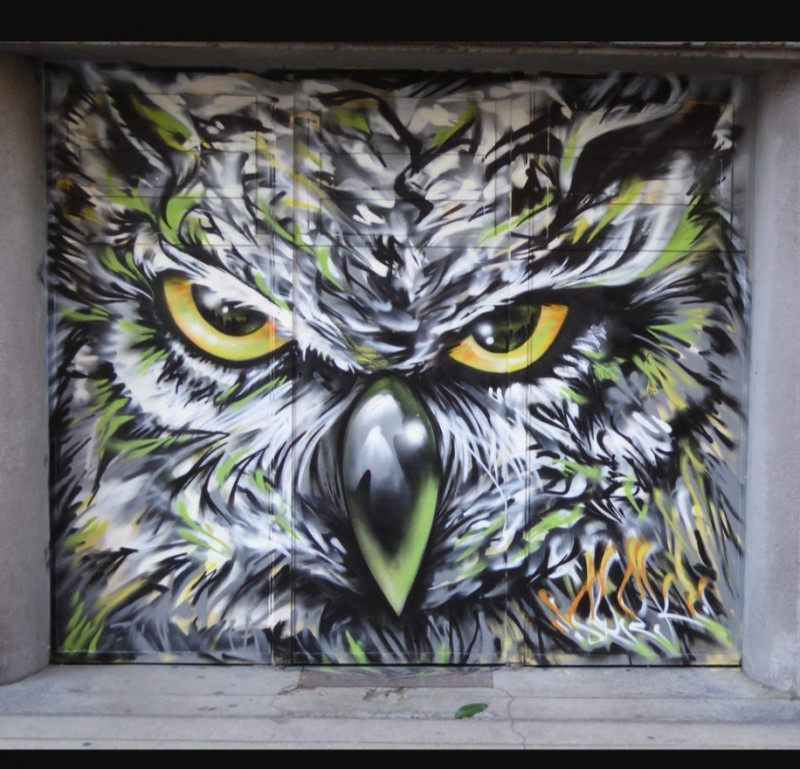 Un zoo sur les murs Street art_Grenoble Un zoo sur les murs Street art_Grenoble