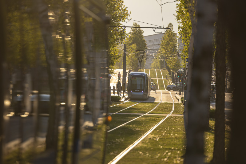 Tour panoramique de la ville_Grenoble